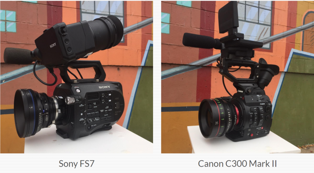 sony vs canon